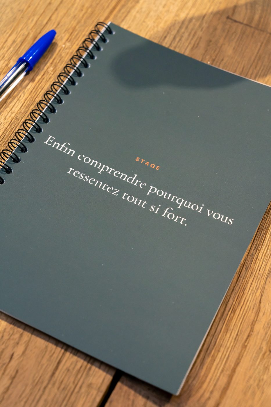 Le carnet du stage : « Enfin comprendre pourquoi vous ressentez tout si fort »
